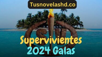 Supervivientes 2024 Gala